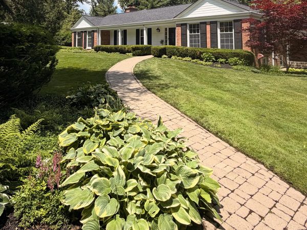 Freshly cleaned paver walkway and manicured front landscaping
