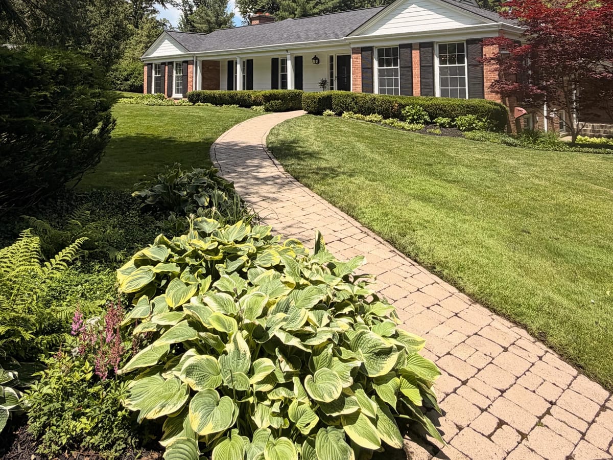 Freshly cleaned paver walkway and manicured front landscaping