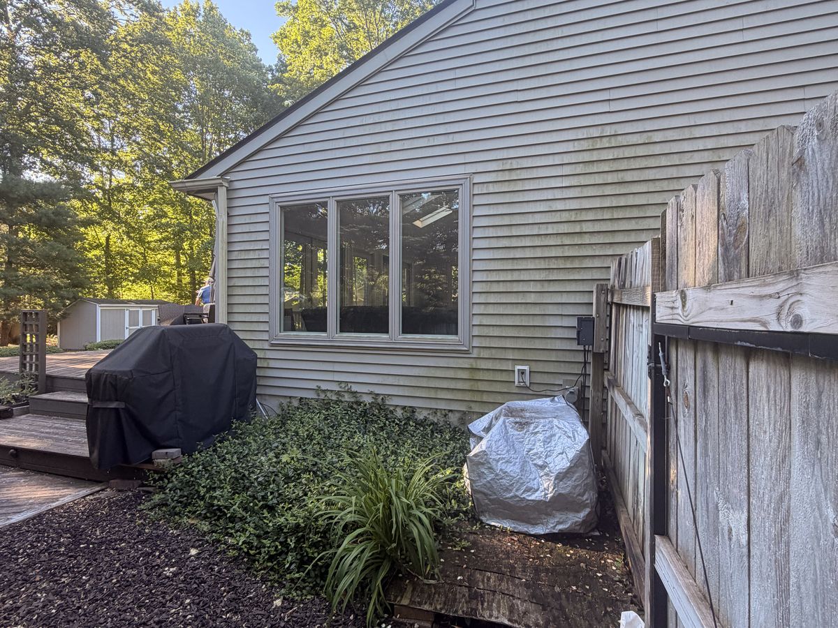 House siding covered in algae and dirt before exterior cleaning